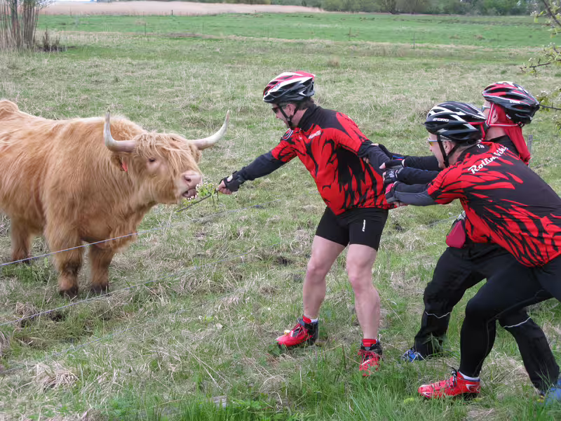 Rungsted Havn - Humlebæk